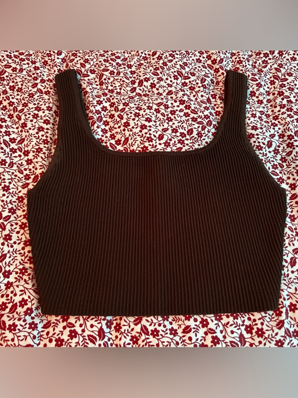 Aritzia Crop Top